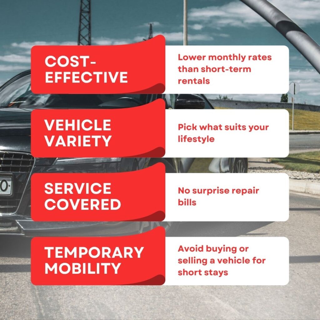 6 Month Car Rental